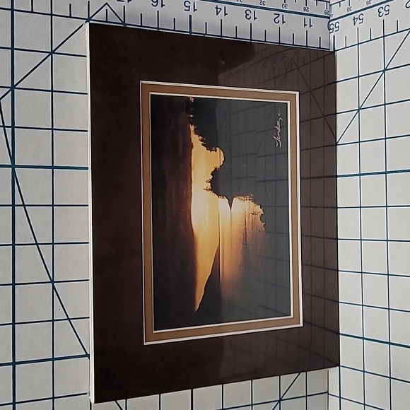 Alaskan Wildlife Matted Photo - Turnagain Arm - Picture 3 of 4